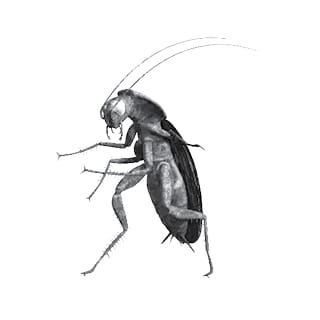 Icon for Shock symbols type