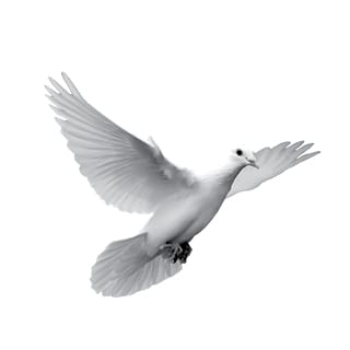 Icon for Peace symbols type